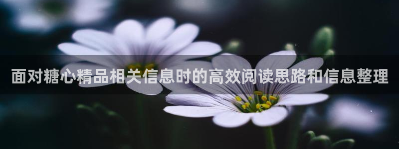 糖心精品:面对糖心精品相关信息时的高效阅读思路和信息整理