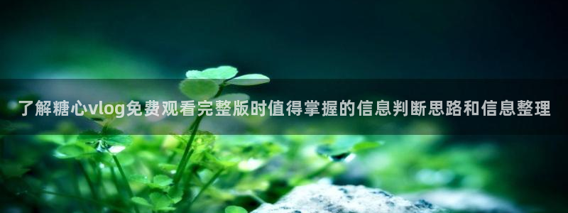 糖心vlog正版